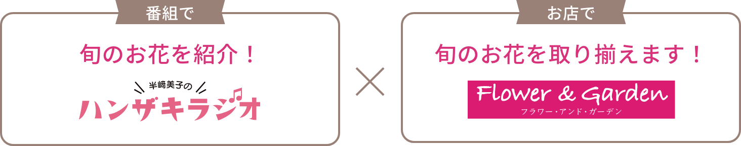 旬のお花を紹介